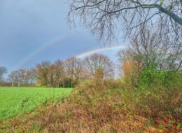 Open Gardening geht in die nächste Runde