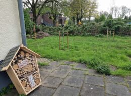 Open Gardening geht weiter