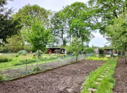 Urban Gardening: „Man isst, was man säht“