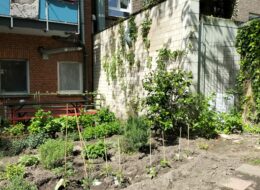 „Ab ins Beet“ heißt es für das Café Sonnenblick