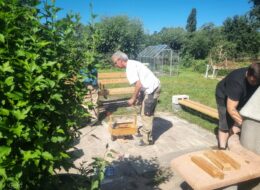 SCI-Regenbogenhaus und SCI-Jugendwerkstatt – gemeinsam stark für Open Gardening