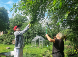 Open-Gardening – Hand in Hand geht es weiter